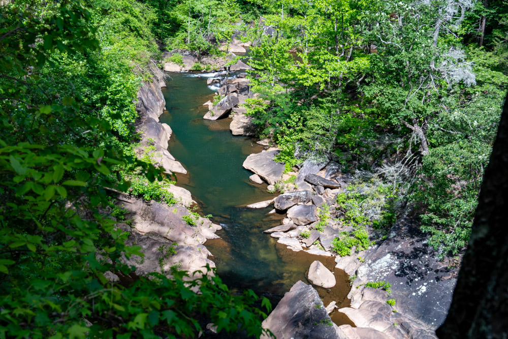 Looking down from the suspension bridge.